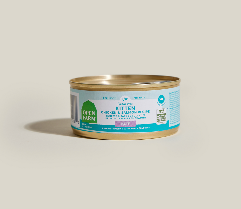 Kitten Chicken & Salmon Pâté – DHA-Rich Grain-Free Wet Cat Food