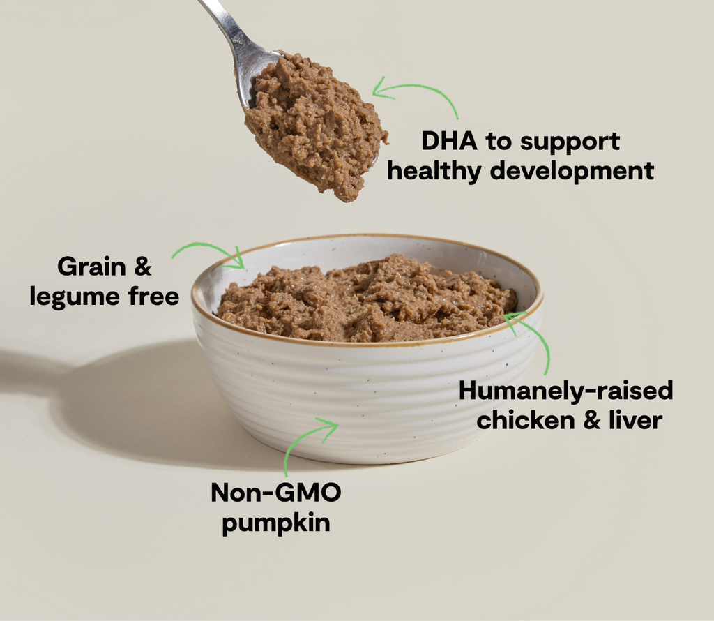 Kitten Chicken & Salmon Pâté – DHA-Rich Grain-Free Wet Cat Food