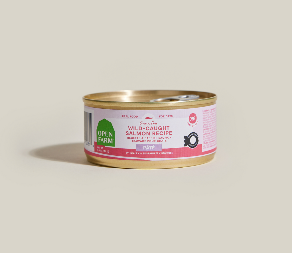 Wild Pacific Salmon Pâté for Cats – Ocean Wise Pumpkin Dandelion Greens