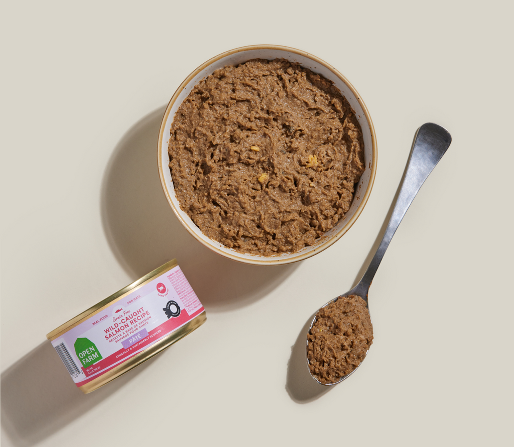 Wild Pacific Salmon Pâté for Cats – Ocean Wise Pumpkin Dandelion Greens