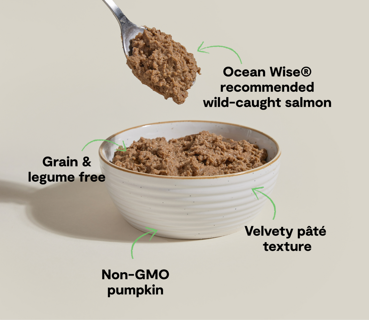 Wild Pacific Salmon Pâté for Cats – Ocean Wise Pumpkin Dandelion Greens