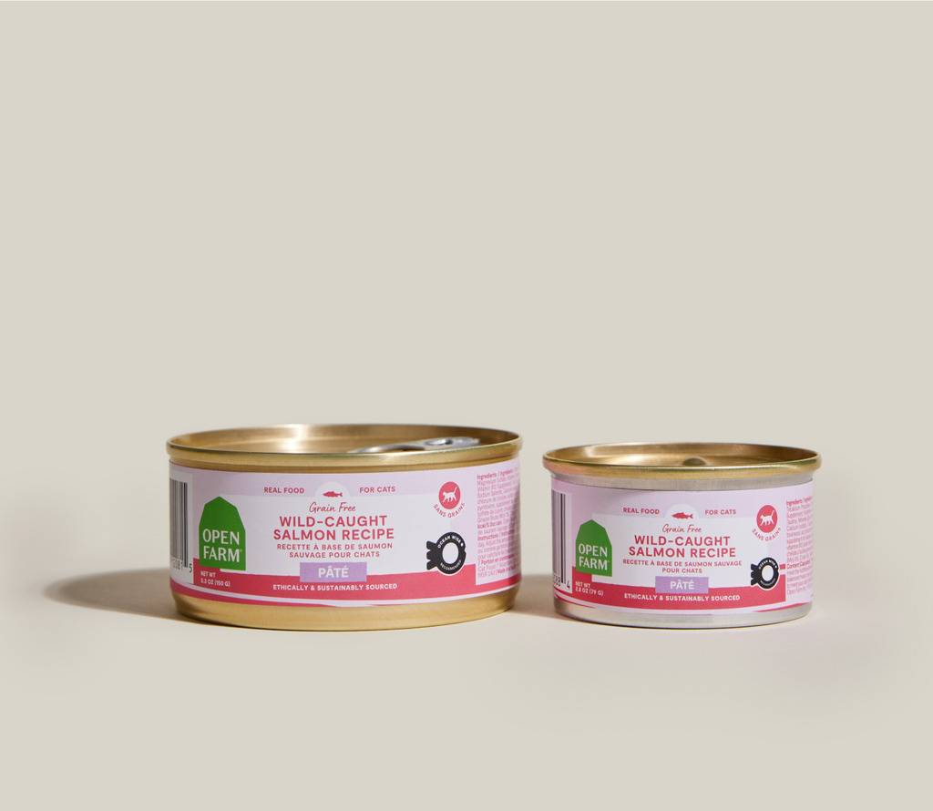 Wild Pacific Salmon Pâté for Cats – Ocean Wise Pumpkin Dandelion Greens