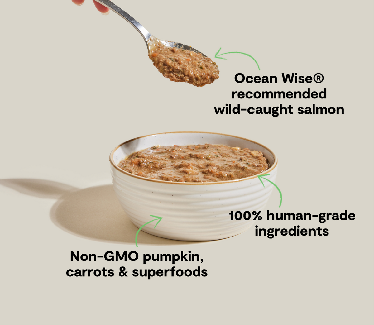 Wild-Caught Salmon Kettle-Cooked Rustic Blend – Wet Cat Food, Complete