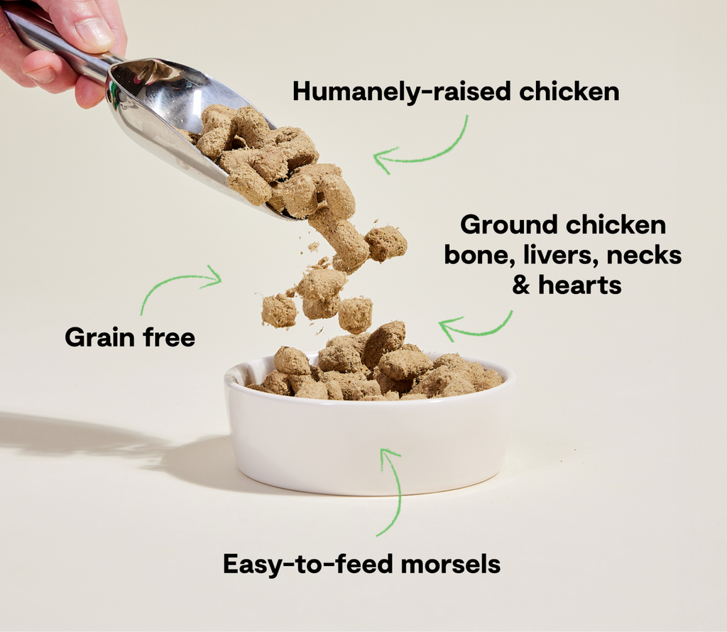 Single-Protein Chicken Freeze-Dried Raw Morsels – Grain-Free Dog Food