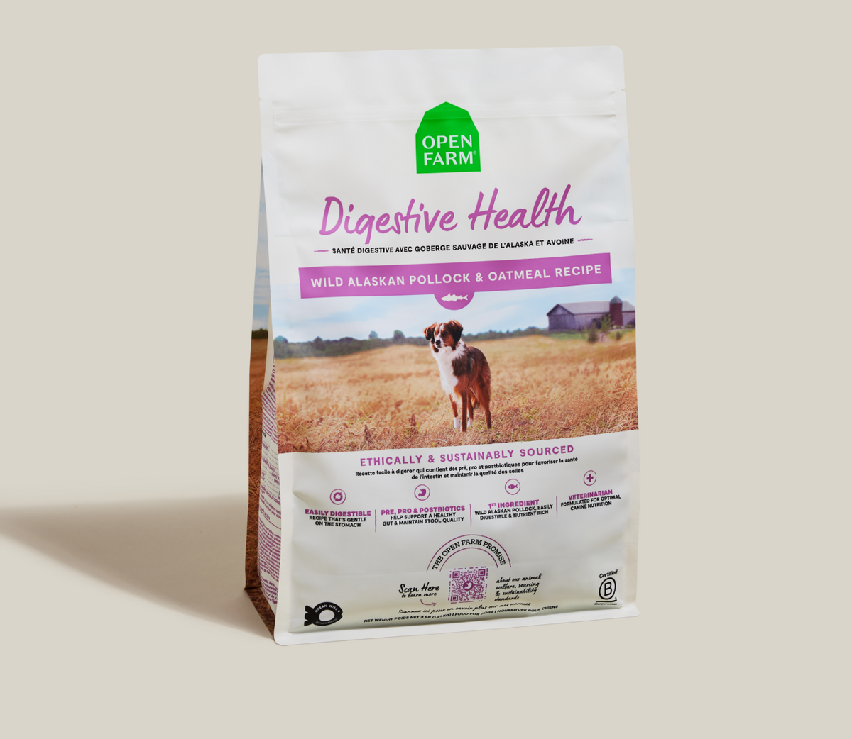 Wild Alaskan Pollock & Oatmeal Dog Kibble – Digestive Health Formula