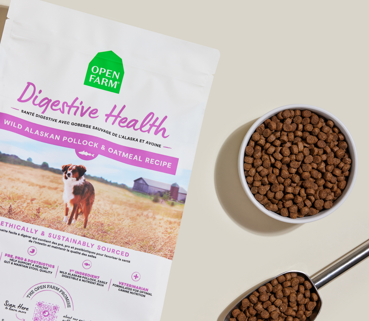 Wild Alaskan Pollock & Oatmeal Dog Kibble – Digestive Health Formula