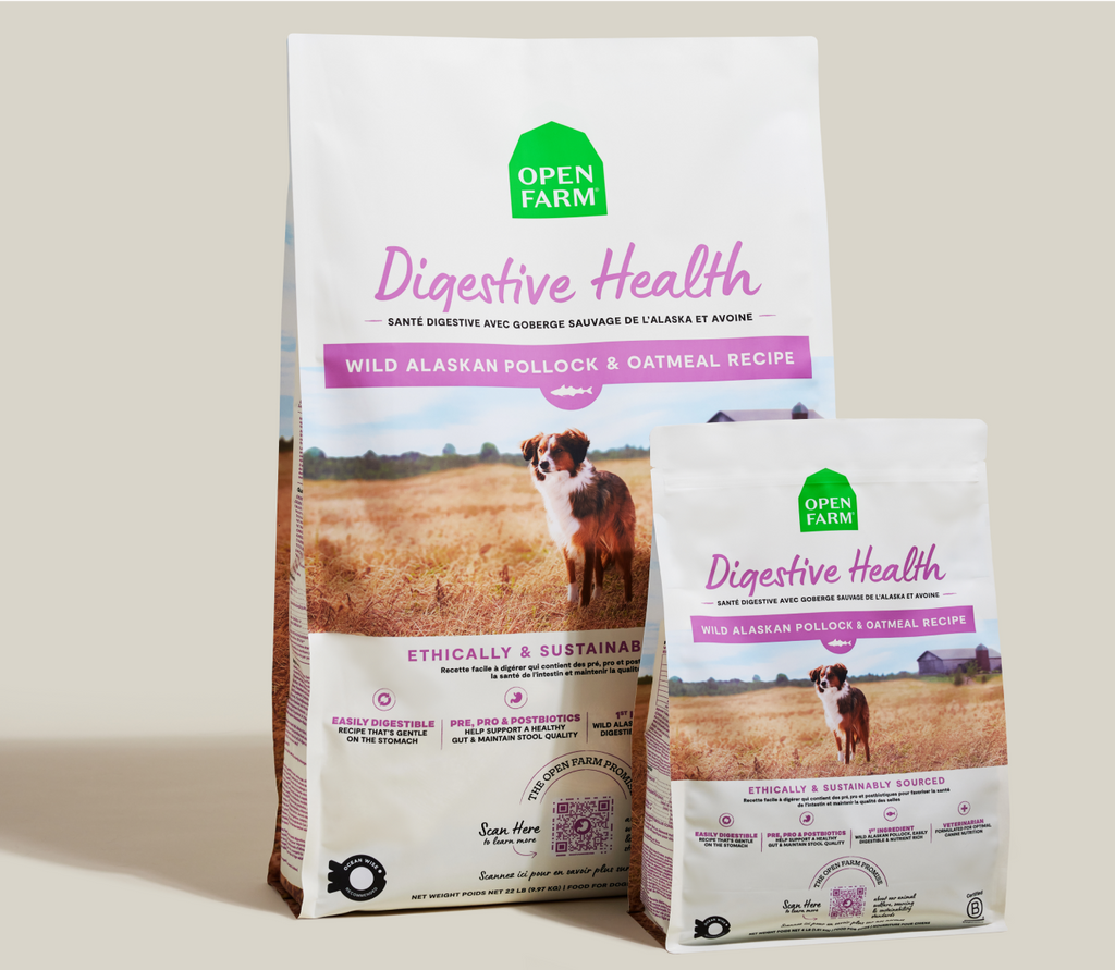 Wild Alaskan Pollock & Oatmeal Dog Kibble – Digestive Health Formula