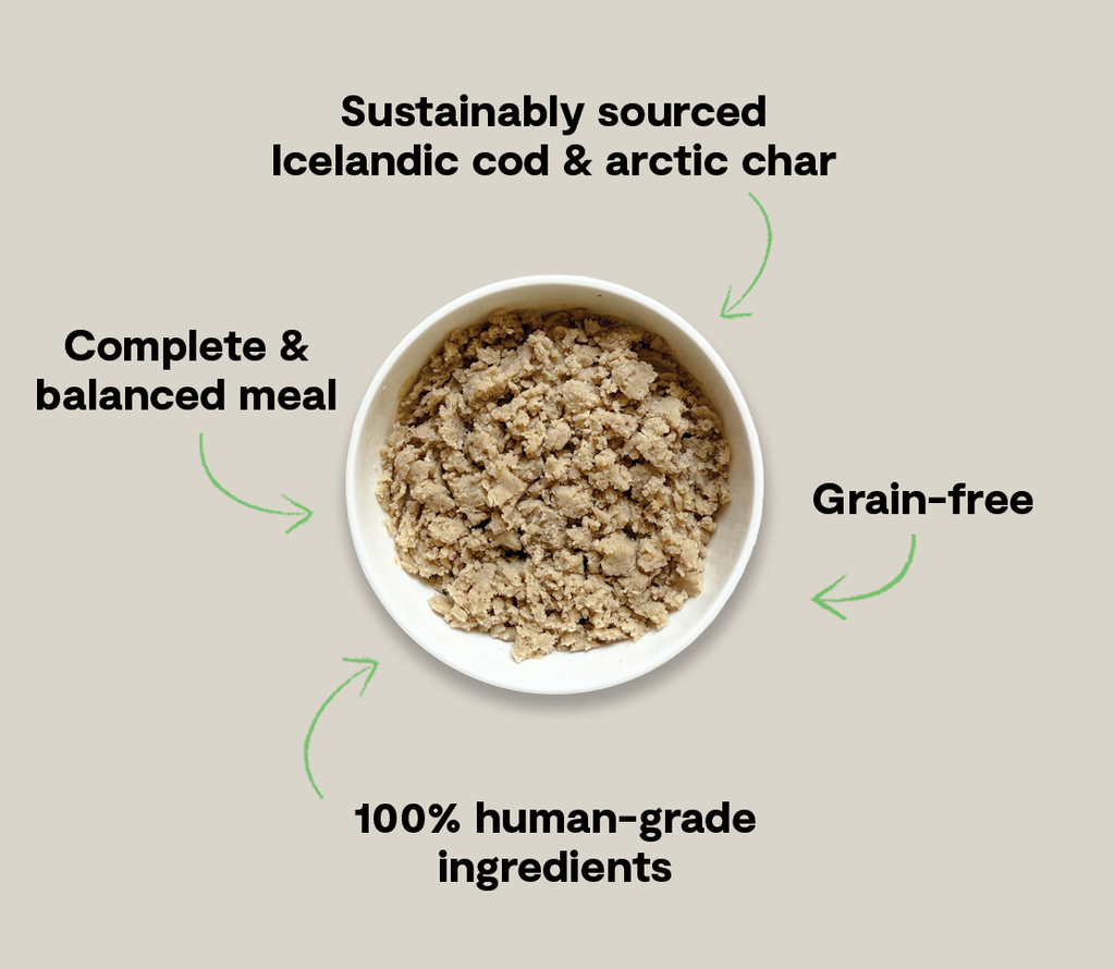 MSC Icelandic Cod & ASC Arctic Char Grain-Free Wet Dog Food Mousse