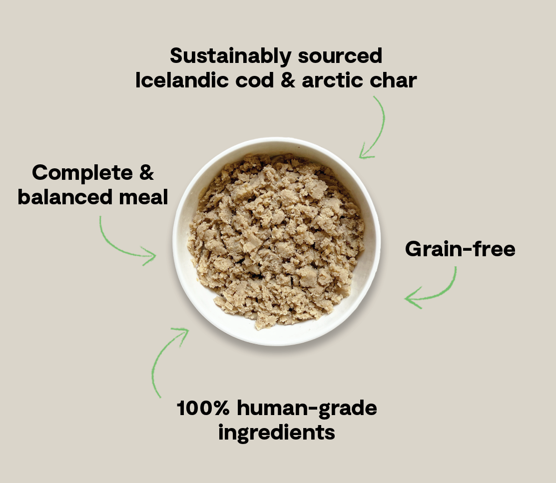 MSC Icelandic Cod & ASC Arctic Char Grain-Free Wet Dog Food Mousse