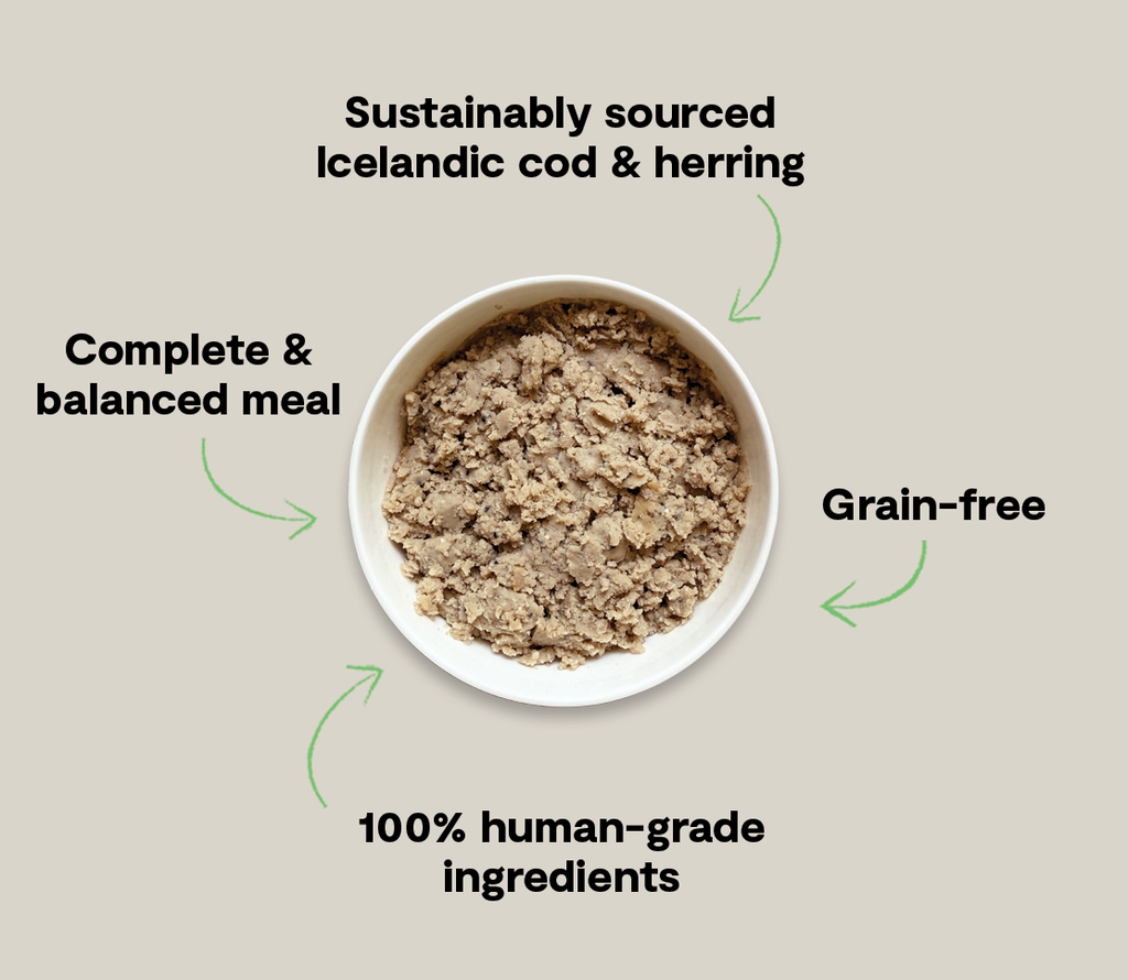 Icelandic Cod & Herring Wet Dog Food – MSC Certified Blueberry Superfood