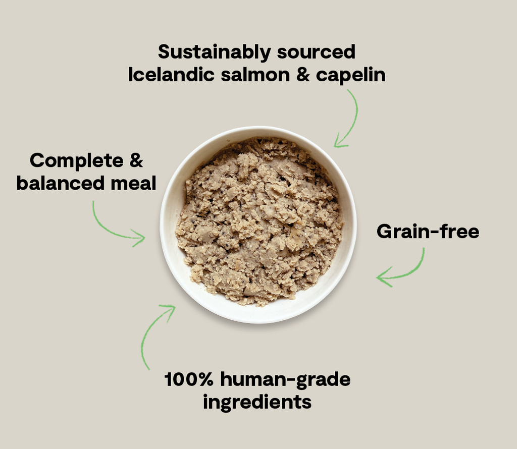 ASC Icelandic Salmon & MSC Capelin Grain-Free Wet Dog Food with Kelp