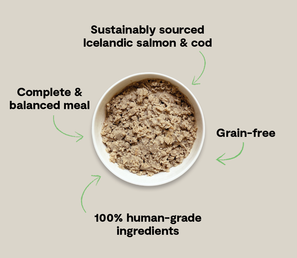 Icelandic Salmon & Cod Wet Dog Food – ASC MSC Certified Sweet Potato