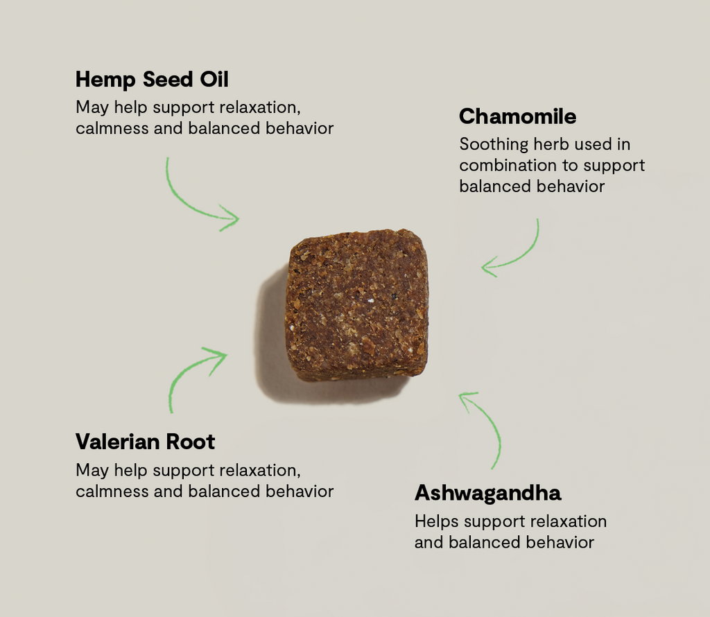 Calming Soft Chews for Dogs – Ashwagandha, Valerian & L-Theanine Relax Aid