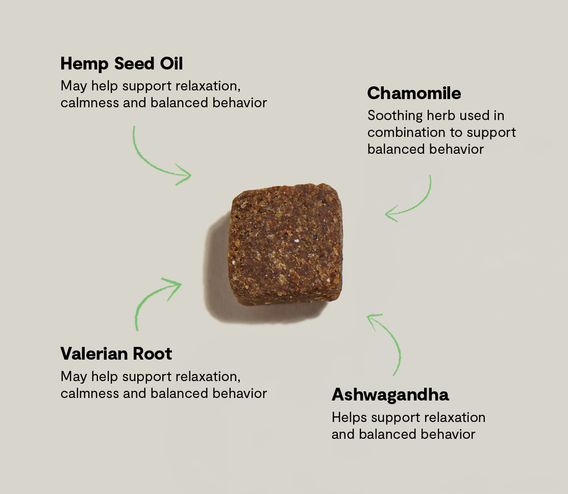 Calming Soft Chews for Dogs – Ashwagandha, Valerian & L-Theanine Relax Aid