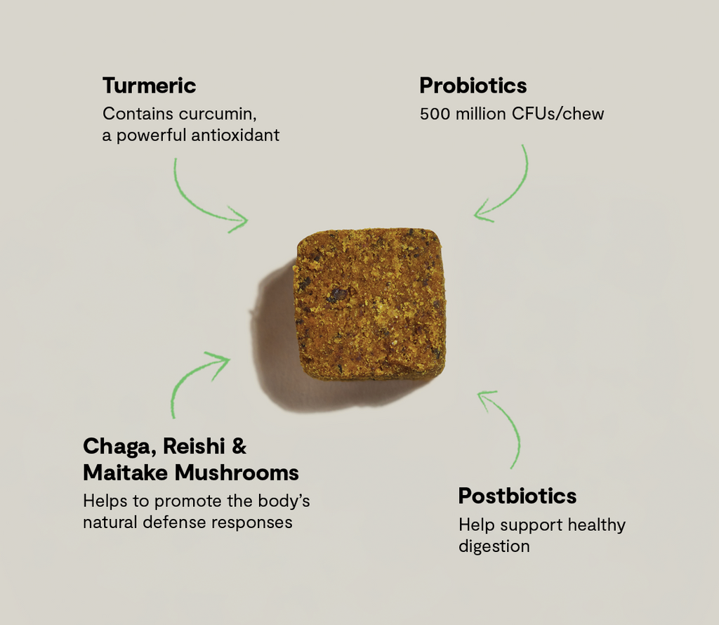 Immune Support Soft Dog Chews – Probiotics, Turmeric & Functional Mushrooms