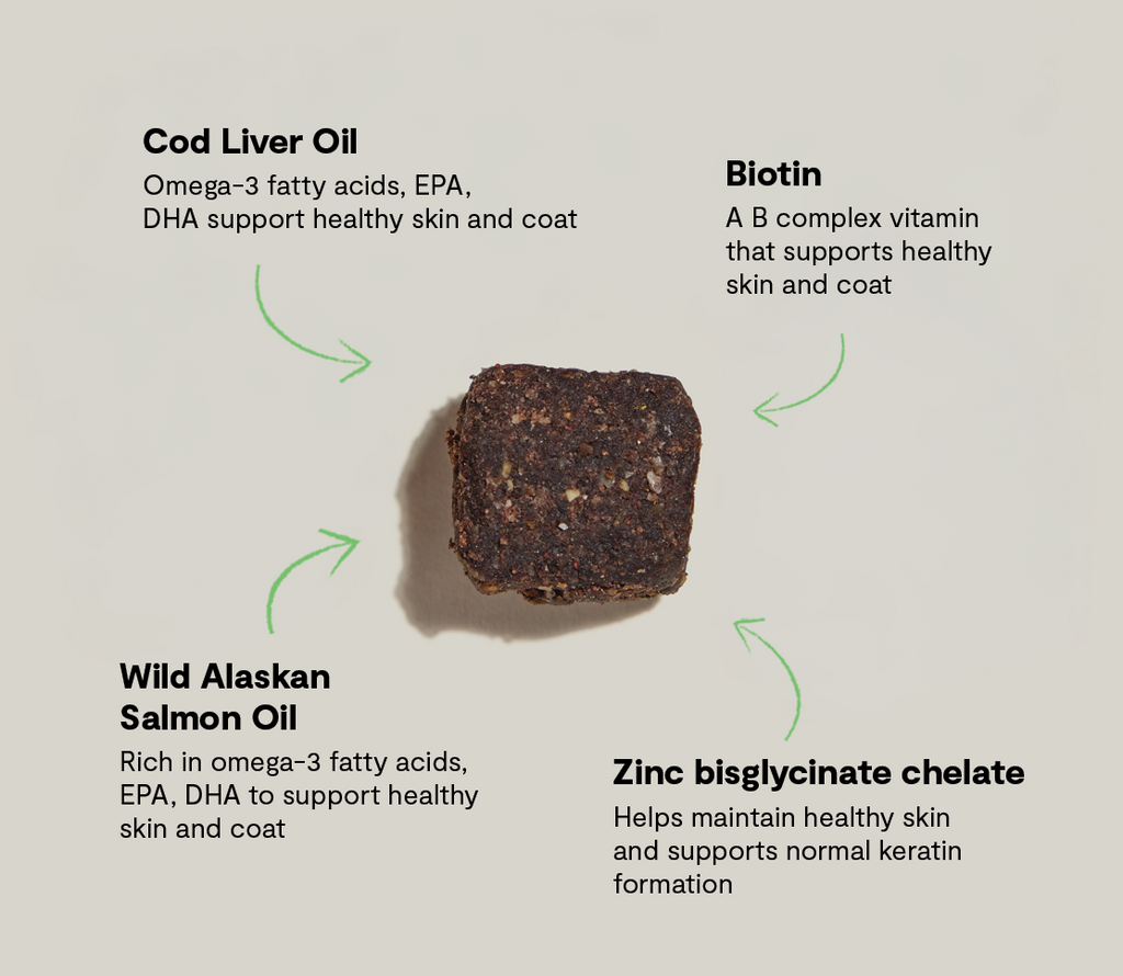 Skin & Coat Supplement Soft Chews for Dogs - Salmon Oil, Cod Liver, Biotin