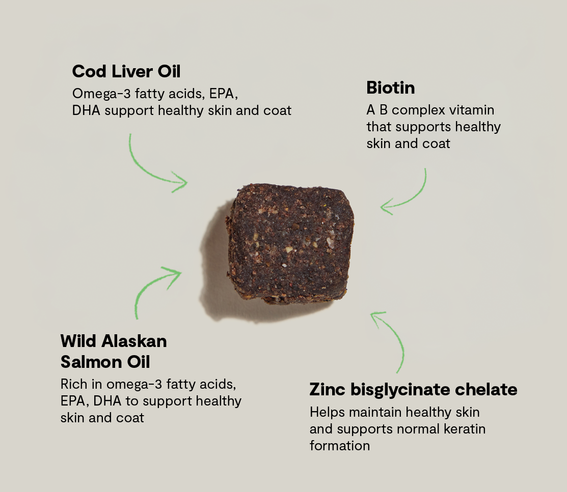 Skin & Coat Supplement Soft Chews for Dogs - Salmon Oil, Cod Liver, Biotin
