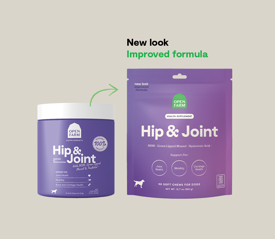 Hip & Joint Supplement Soft Chews for Dogs - MSM, Green-Lipped Mussel, HA