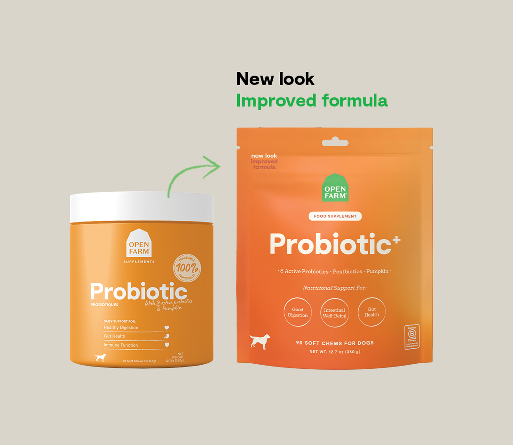 Probiotic Dog Gut Health Chews – Prebiotic & Postbiotic Blend, 90 Count