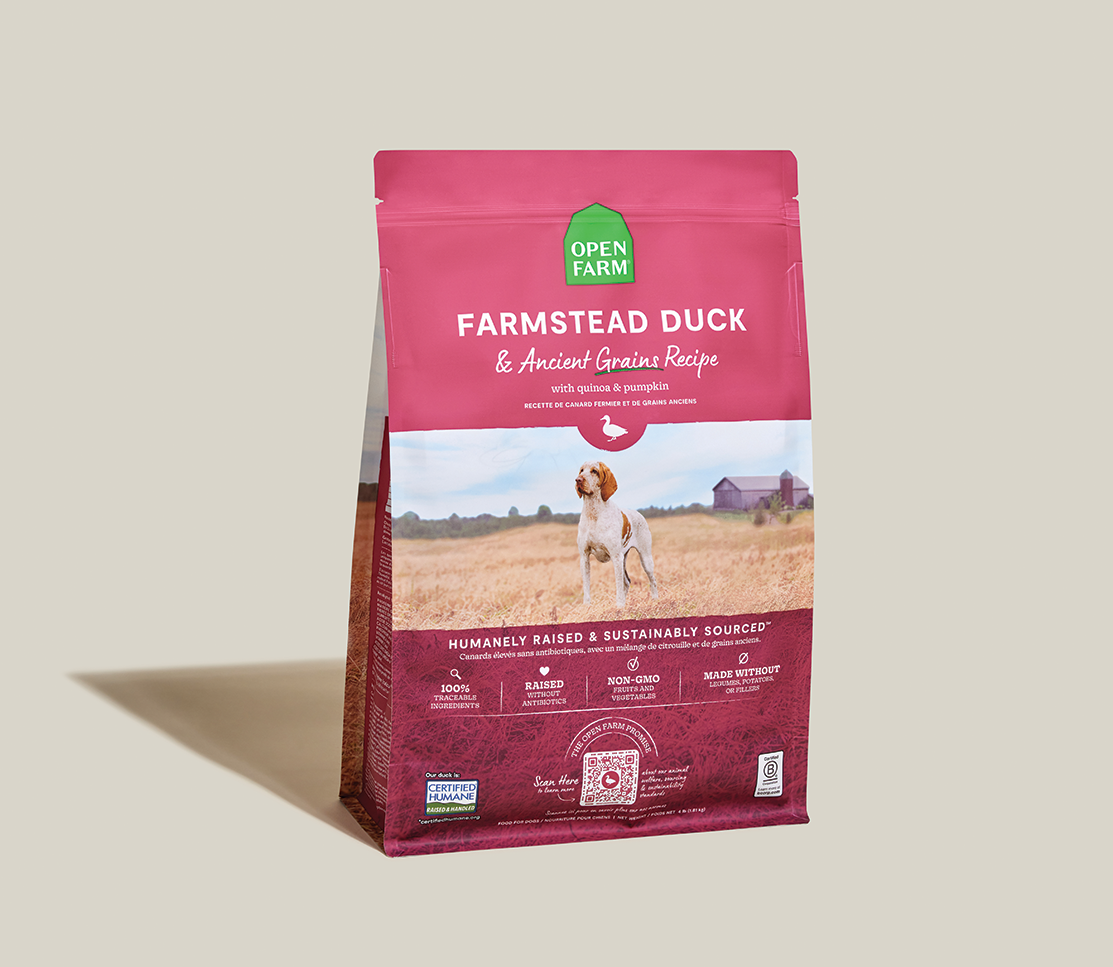 Duck & Ancient Grains Complete Dry Dog Food – Quinoa, Pumpkin & Coconut Oil