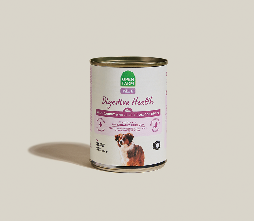 Whitefish & Pollock Digestive Health Pâté for Dogs – Oatmeal Sensitive