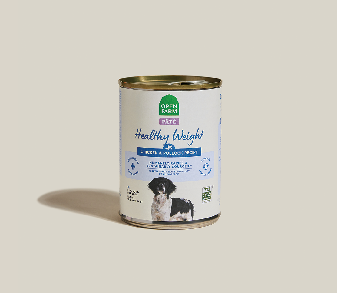 High-Protein Low-Calorie Whitefish & Chicken Pate for Healthy Weight Dogs