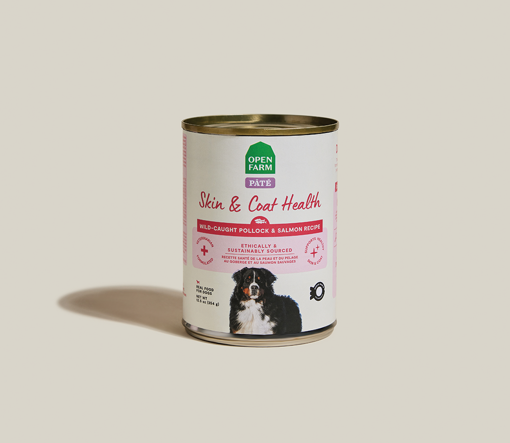 Wild Pollock & Salmon Skin & Coat Health Pâté – Complete Wet Dog Food