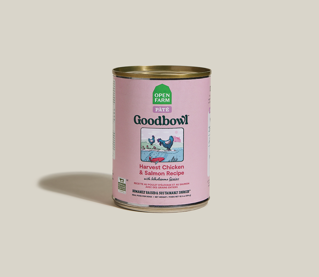 Chicken & Wild Salmon Smooth Pâté – Complete Wet Dog Food with Grains