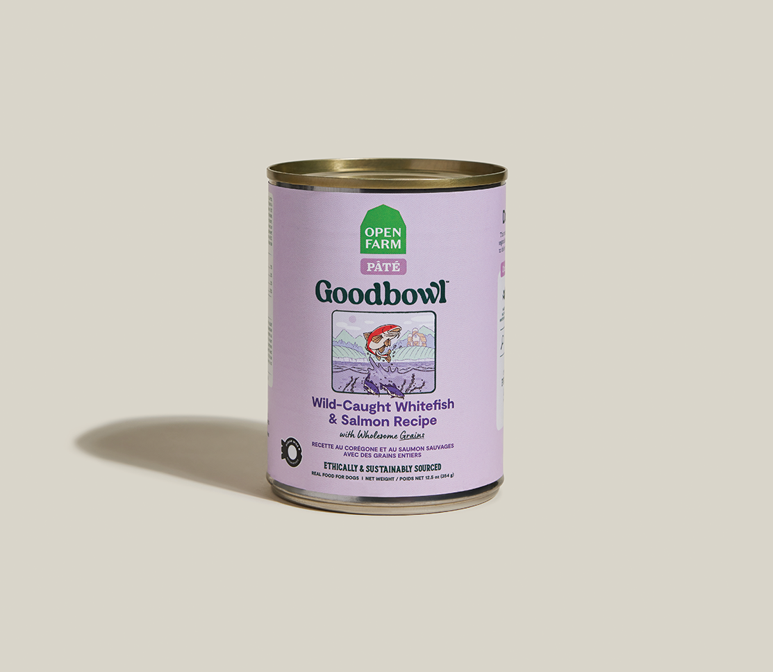 Wild-Caught Whitefish & Salmon Pâté for Dogs – Ocean Wise Oats Pumpkin