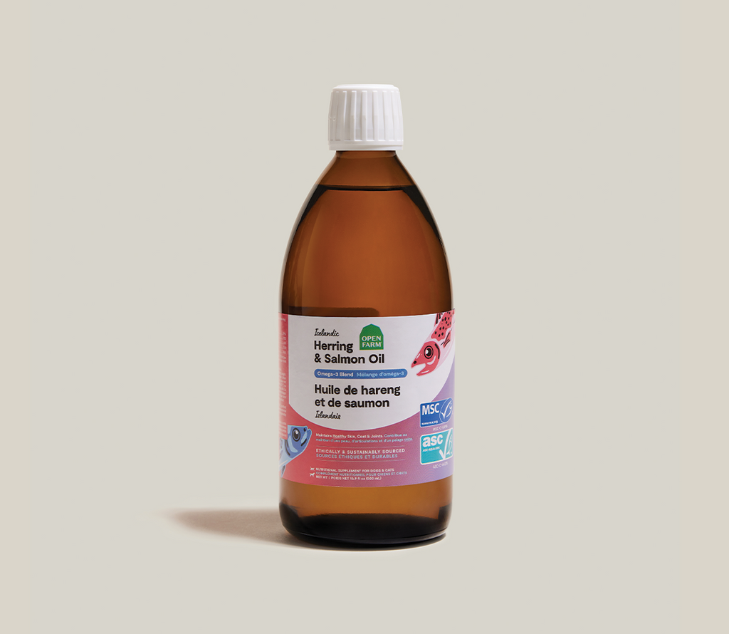 Icelandic Herring & Salmon Fish Oil for Cats - EPA/DHA Skin, Coat & Joints