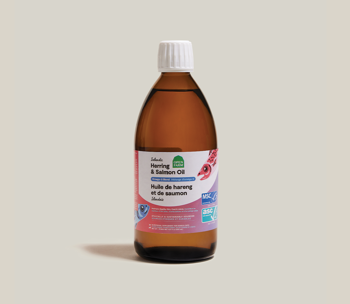 Icelandic Herring & Salmon Fish Oil for Cats - EPA/DHA Skin, Coat & Joints