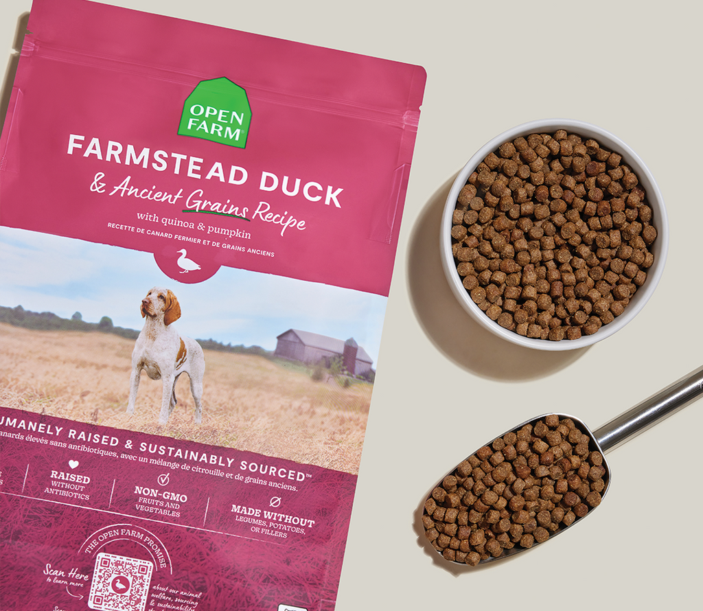 Duck & Ancient Grains Complete Dry Dog Food – Quinoa, Pumpkin & Coconut Oil