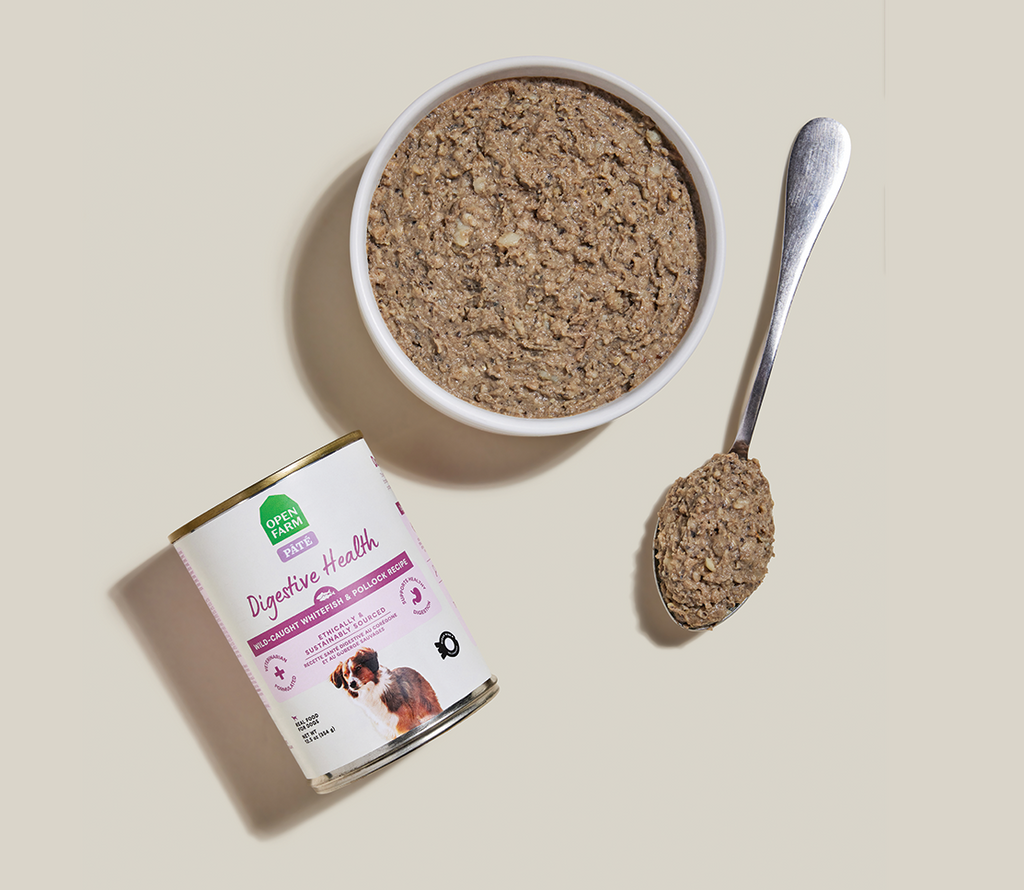 Whitefish & Pollock Digestive Health Pâté for Dogs – Oatmeal Sensitive