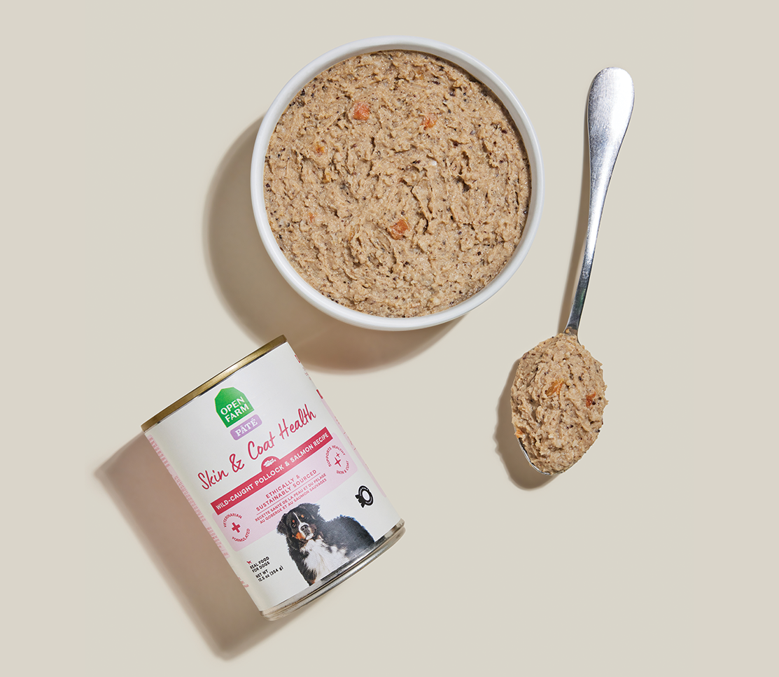 Wild Pollock & Salmon Skin & Coat Health Pâté – Complete Wet Dog Food