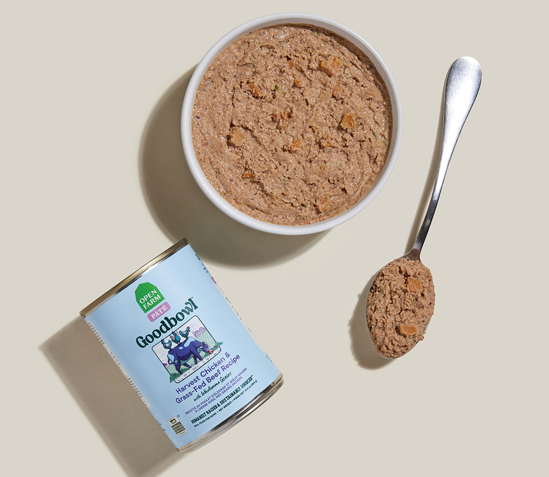 Chicken & Grass-Fed Beef Pâté for Dogs – Oats Carrots Moisture-Rich