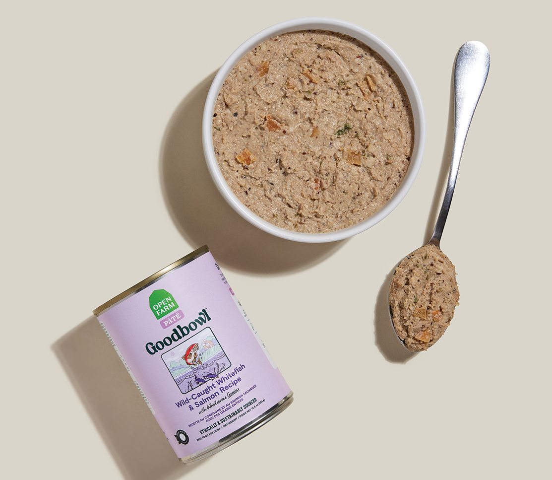 Wild-Caught Whitefish & Salmon Pâté for Dogs – Ocean Wise Oats Pumpkin