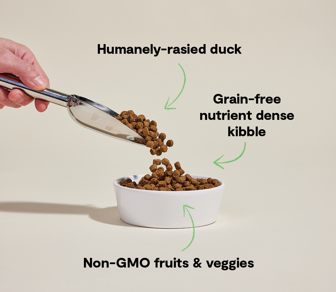 Grain-Free Duck Dog Kibble - Single Protein for Allergies & Sensitivities