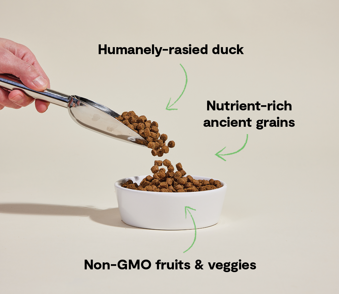 Duck & Ancient Grains Complete Dry Dog Food – Quinoa, Pumpkin & Coconut Oil
