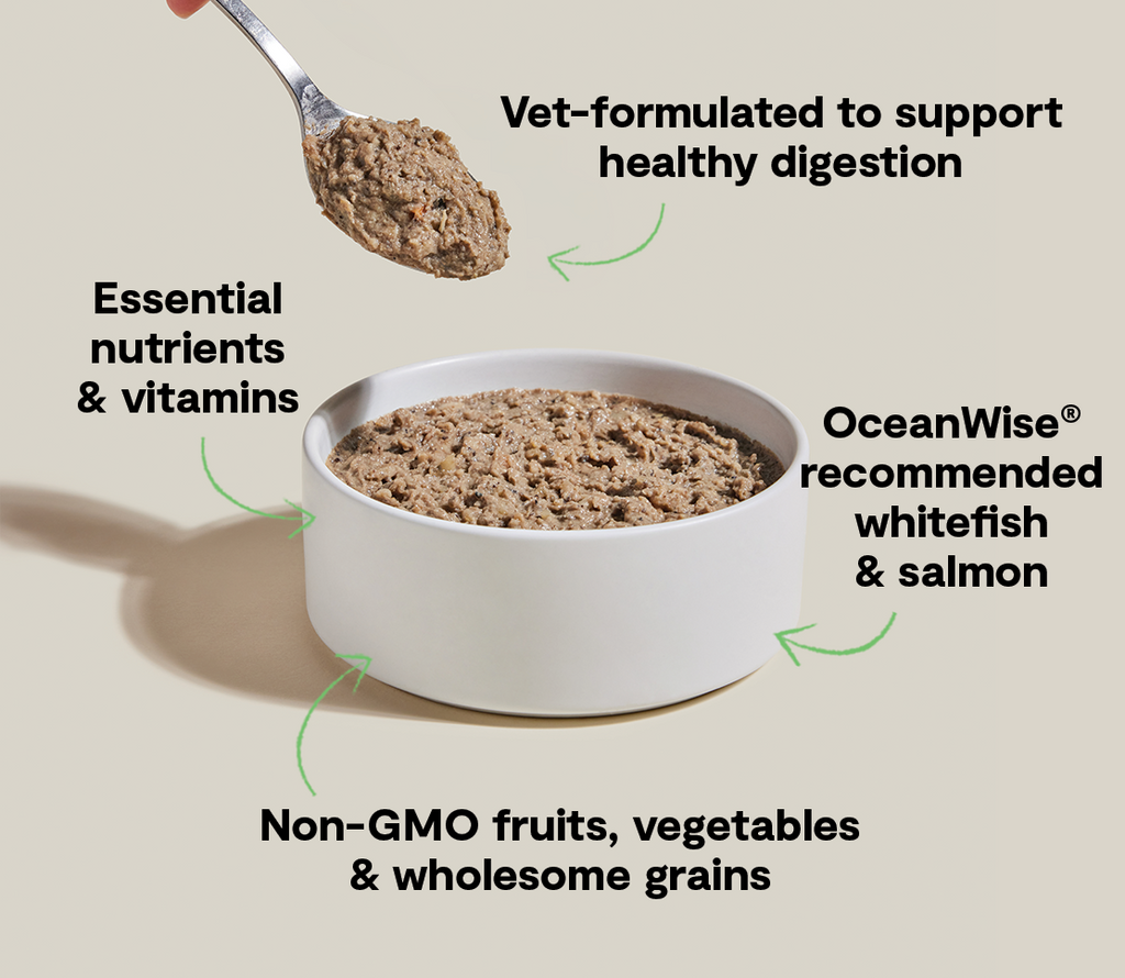 Whitefish & Pollock Digestive Health Pâté for Dogs – Oatmeal Sensitive