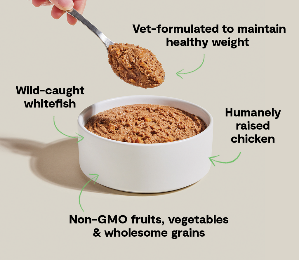 High-Protein Low-Calorie Whitefish & Chicken Pate for Healthy Weight Dogs