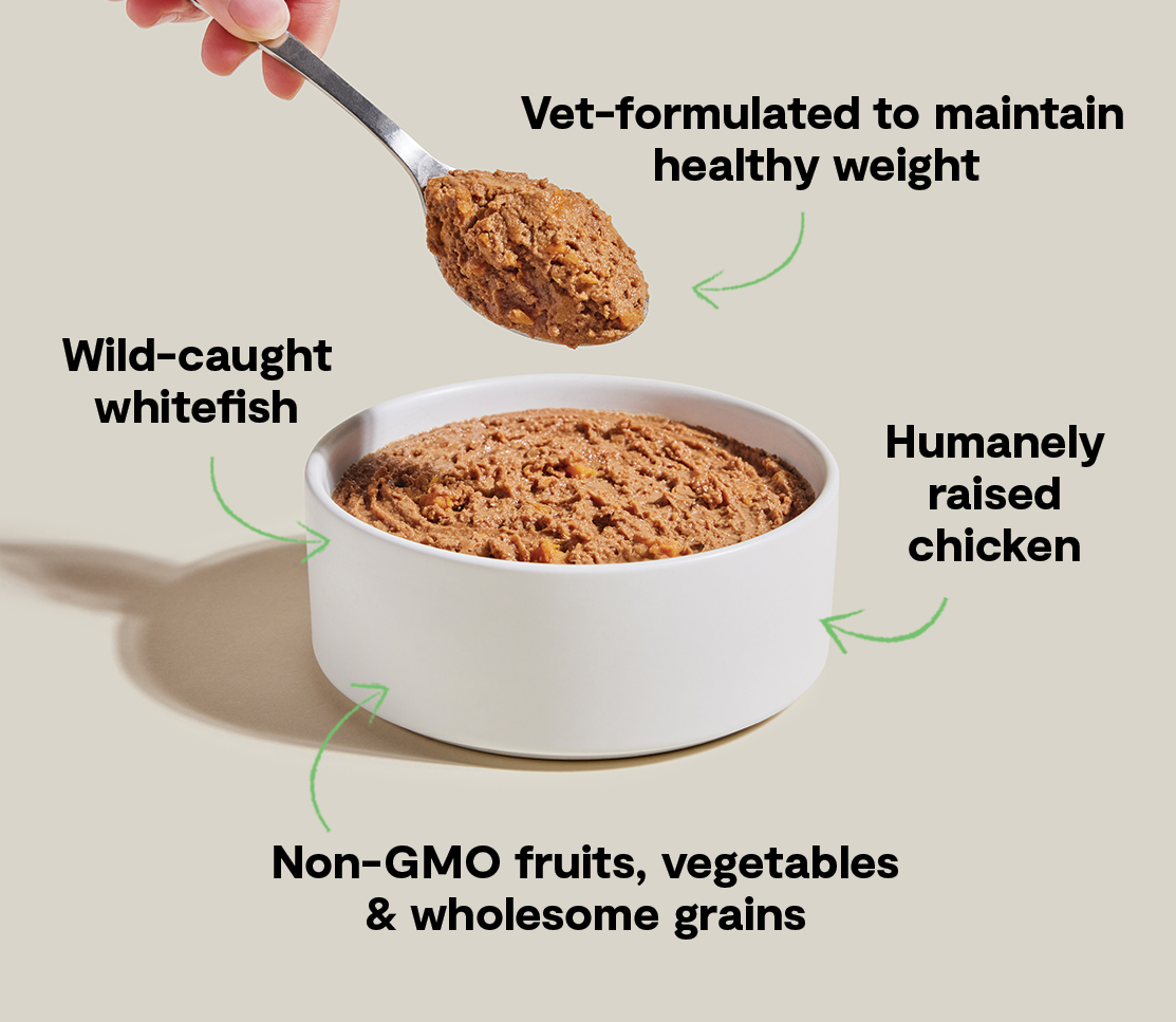 High-Protein Low-Calorie Whitefish & Chicken Pate for Healthy Weight Dogs