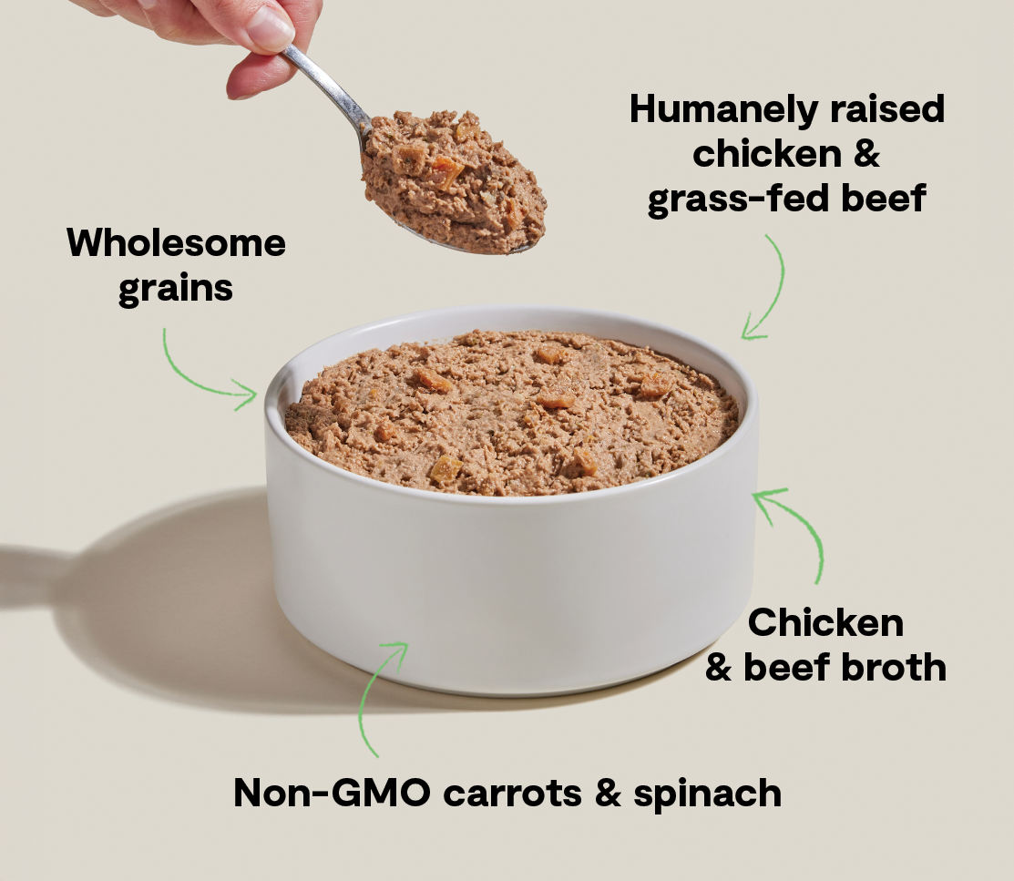 Chicken & Grass-Fed Beef Pâté for Dogs – Oats Carrots Moisture-Rich