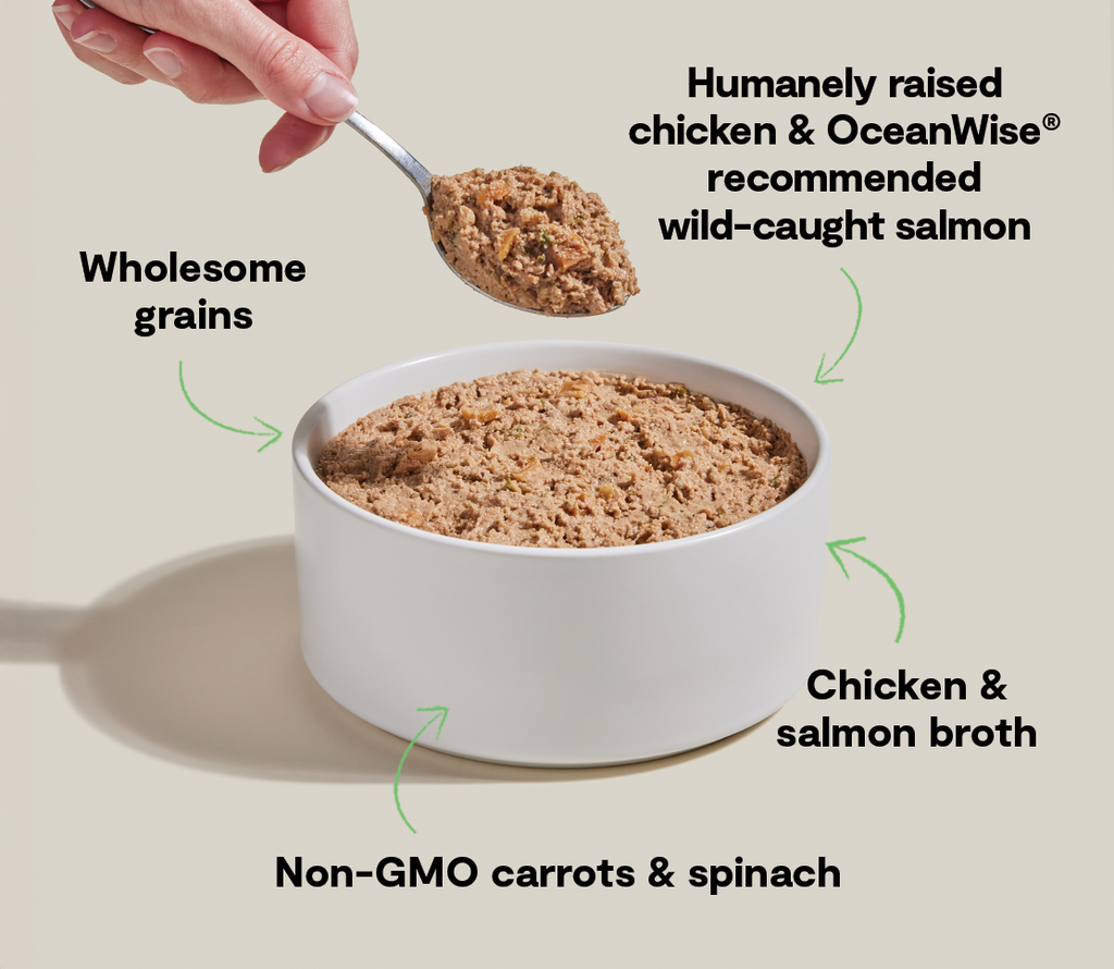 Chicken & Wild Salmon Smooth Pâté – Complete Wet Dog Food with Grains