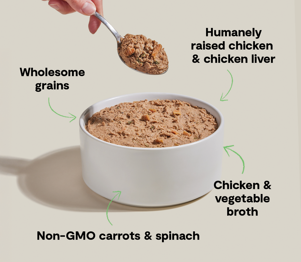 Chicken & Liver Wet Dog Pate with Grains - Smooth, Moisture-Rich Meal
