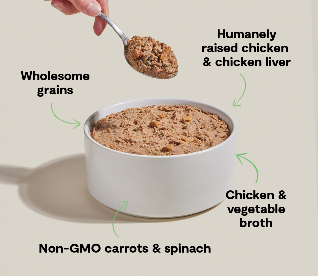Chicken & Liver Wet Dog Pate with Grains - Smooth, Moisture-Rich Meal