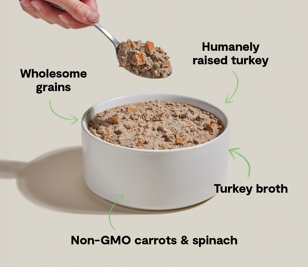 Homestead Turkey Pâté for Dogs – Turkey Liver Oats Carrots Grain-Friendly