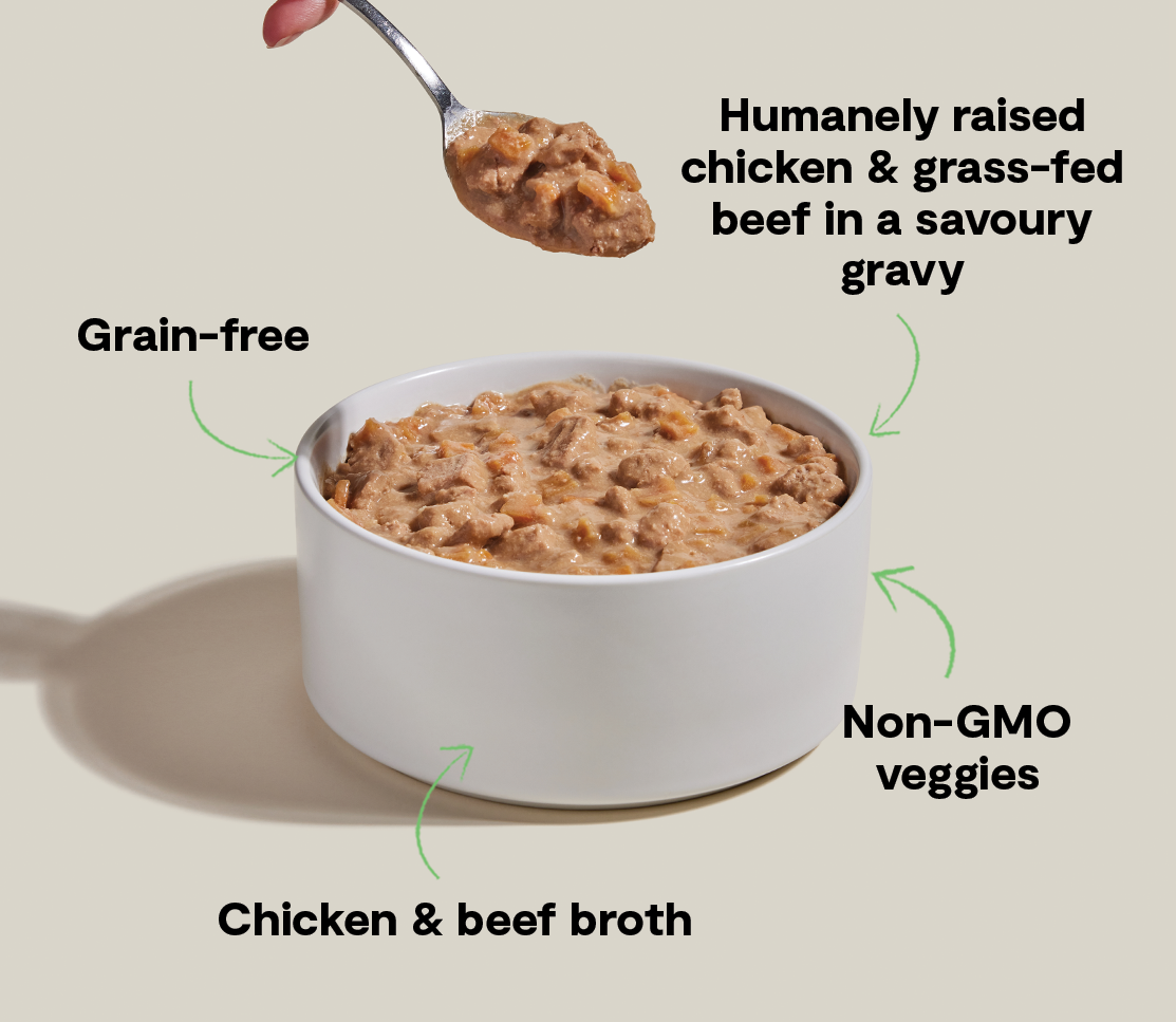 Chicken & Grass-Fed Beef Hearty Stew – Grain-Free Wet Dog Meal or Topper