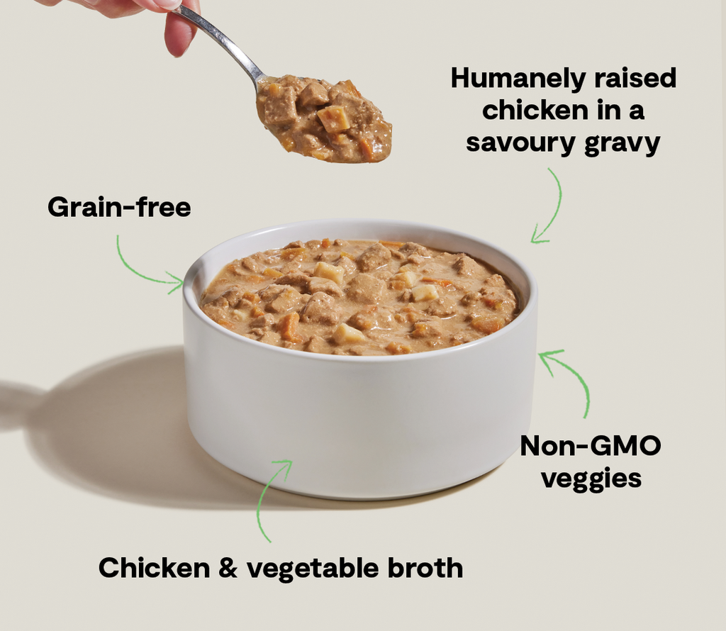 Chicken Hearty Stew Wet Dog Food – Grain-Free Complete Meal or Topper