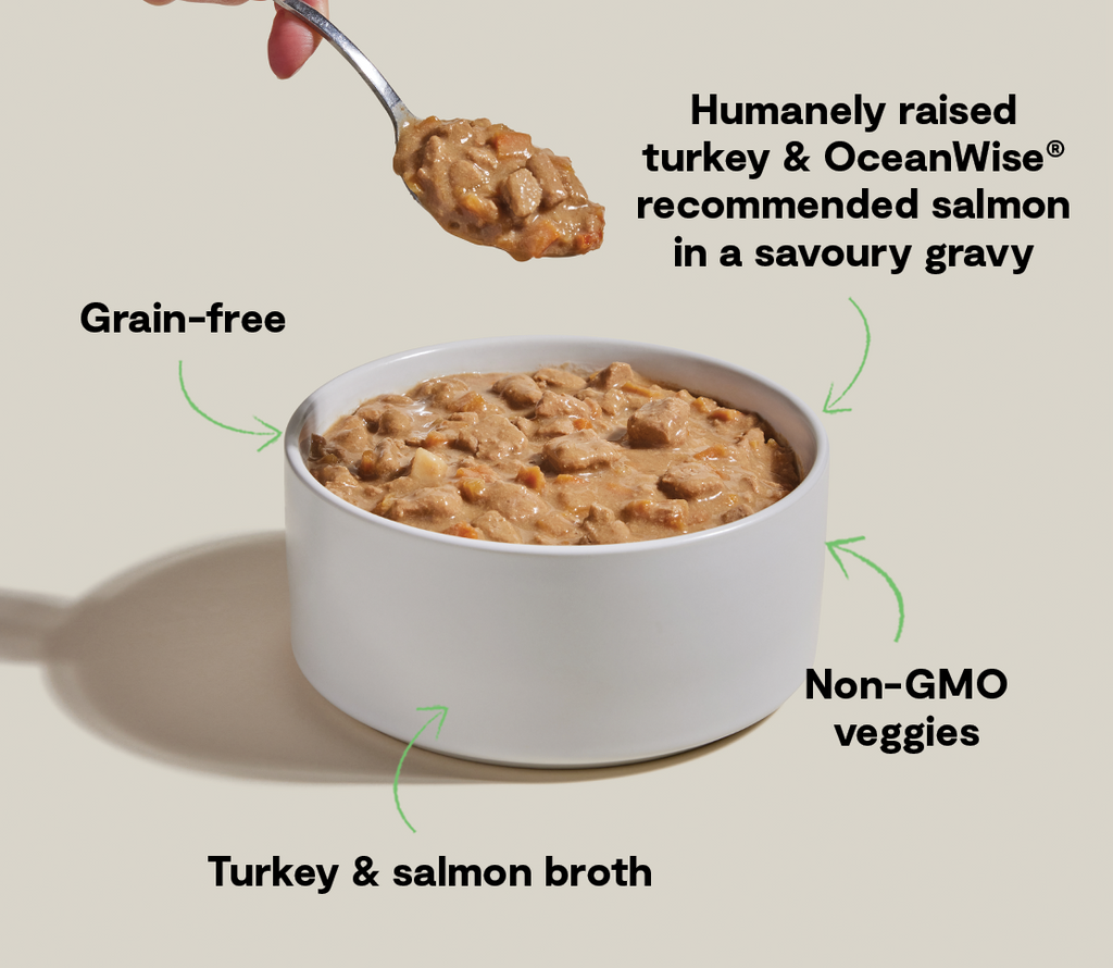 Turkey & Salmon Grain-Free Hearty Stew Wet Dog Food - Rich Gravy Meal