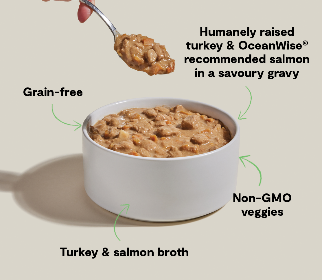Turkey & Salmon Grain-Free Hearty Stew Wet Dog Food - Rich Gravy Meal